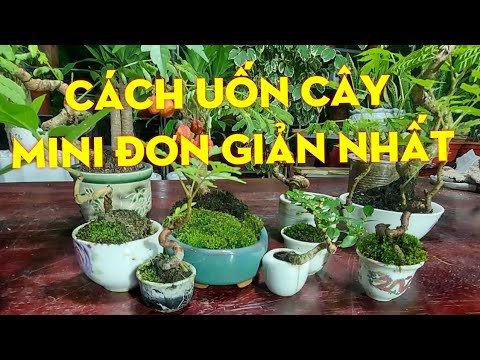 #1 Cách Uốn Cây Đơn Giản Nhất Cho Người Mới Tập Chơi – Nam Xe Lăn Mới Nhất