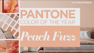 Peach Fuzz is Pantone's 2024 Color of the Year