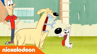 Мультшоу Миссия Блэйк Новый питомец пёс Nickelodeon Россия