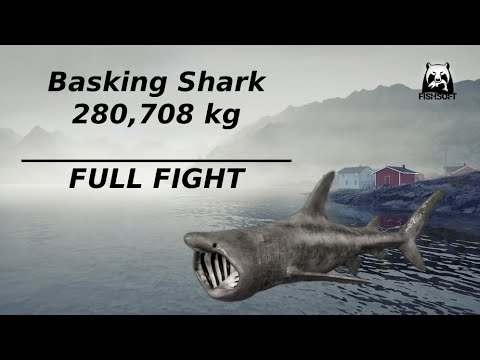 Russian Fishing 4 Basking Shark 280,708 kg FULL FIGHT - YouTube