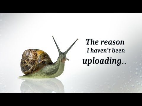 Click to Play Video