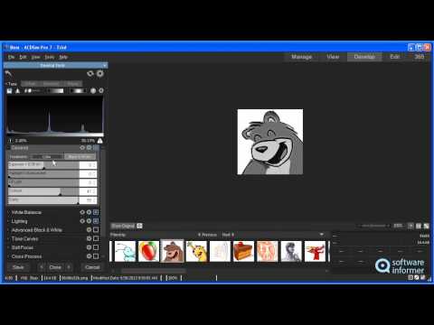 ACDSee Pro 7 video demo