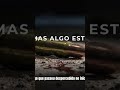 Ep8“O assassino que voltou à cena do crime sem saber” #investigacaocriminal  #terrorymisterio #crime