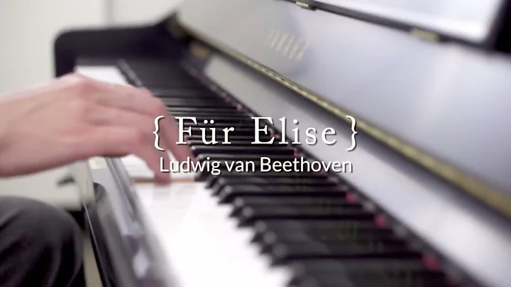 Fr Elise - Ludwig van Beethoven, performed by Jose...