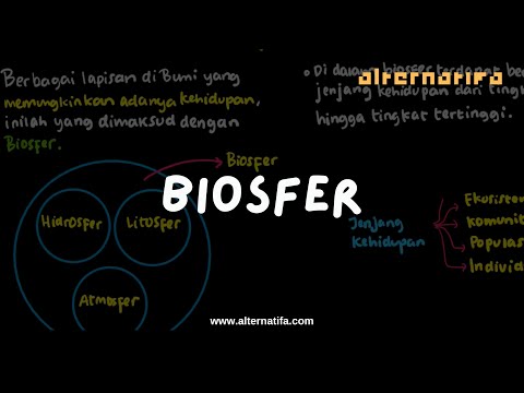 Video: Apakah ekosfer dan biosfer itu sama?