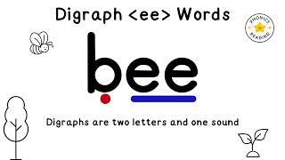 Digraph 'ee' Words | Learn to Read With Phonics | Blending