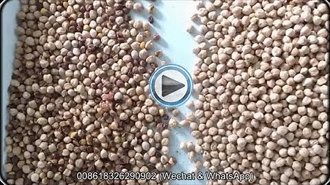 How Chickpeas Color Sorter To Remove Impurity By Color Sorting