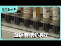【台灣新眼界】20260609 血癌有偌危險? 發病到過身時間短!早發現早治療毋是絕症?治療策略?