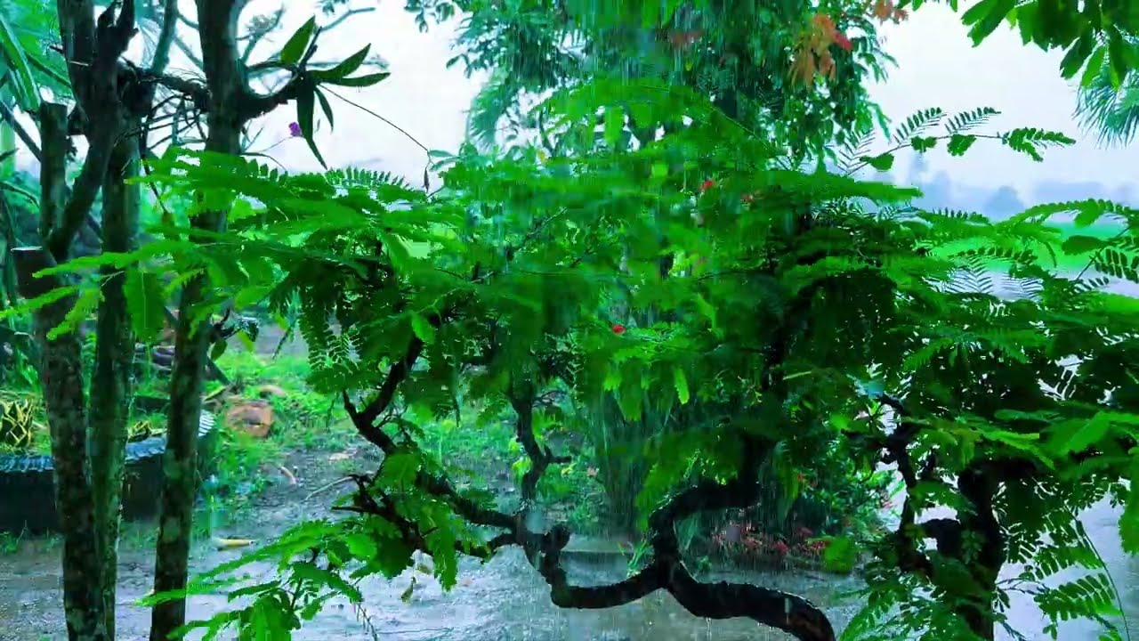 Instrumental ambient music for relaxation Rain