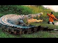 O CROCODILO GIGANTE que DEVOROU MAIS de 300 HOMENS!