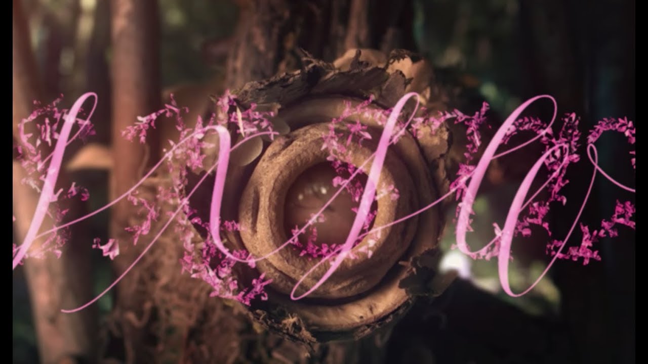 SXSW Film Bumpers | Romance