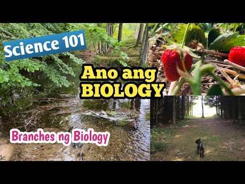 Video: Ano Ang Pinag-aaralan Ng Botany