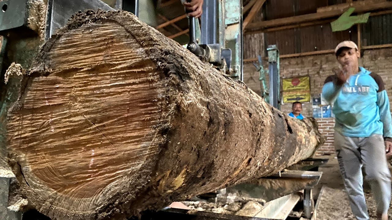How i get big money slabs out of rotted logs sawing teak wood into