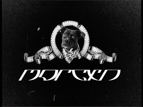 morgxn - IF I KNEW YOU IN A PAST LIFE (Official Music Video)