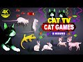 Cat games  the most favorite cat tv complation for cats to watch  bests for cats  