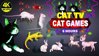 CAT GAMES | THE MOST FAVORITE CAT TV COMPLATION FOR CATS TO WATCH | BEST VIDEOS FOR CATS | 🐱 screenshot 3