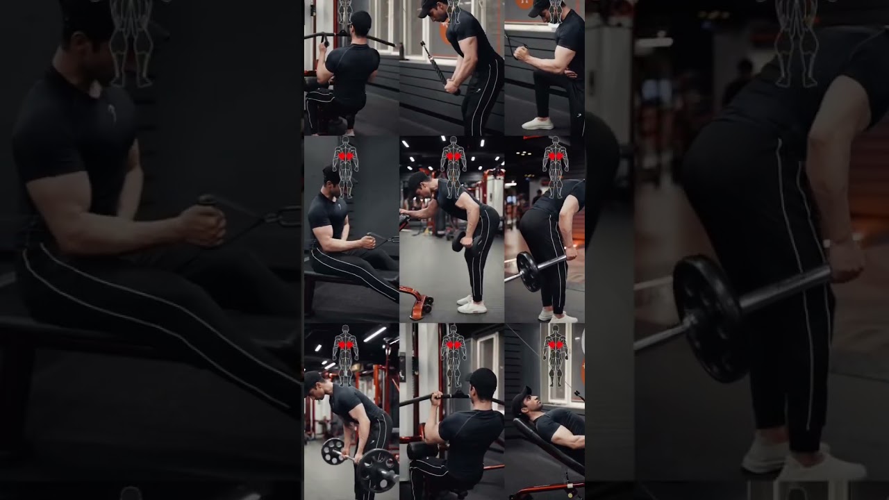 lat exercise library 