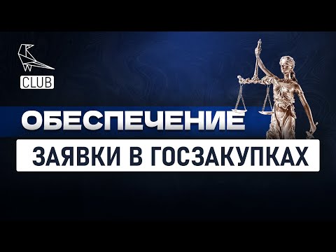 Обеспечение заявки по 44 ФЗ и 223-ФЗ — важные особенности