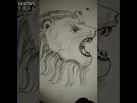 How To Draw A Lion Step by Step Tutorial For Beginners - YouTube