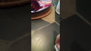 Would acetone have a weaker Intermolecular force than water?