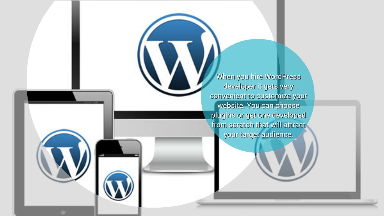 Hire Wordpress Developer