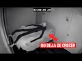 Este martes, conoce algunos de los casos paranormales más impactantes.  Fotos y videos que te dejaran horrorizado. Con: @spencerbaez_ …