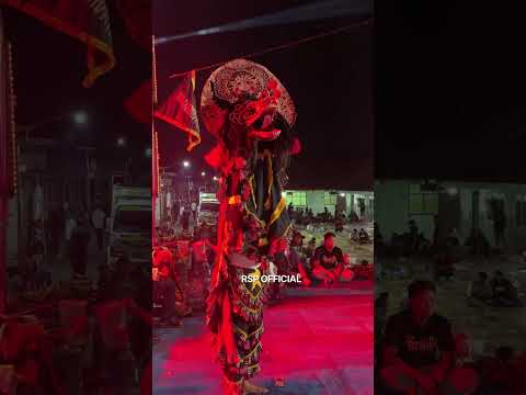 solah barongan