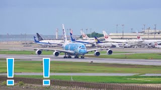 【デカすぎ】那覇空港に世界最大の旅客機が来たらこうなる【A380,ANA】