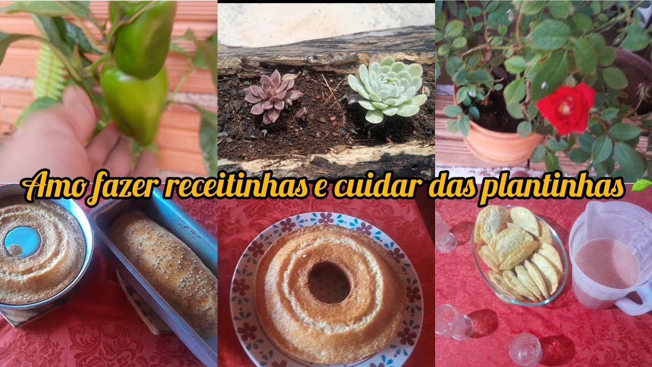 Vlog da tarde fiz pão com creme de leite +mostrei como estão as plantinhas 🌱 que mudei 