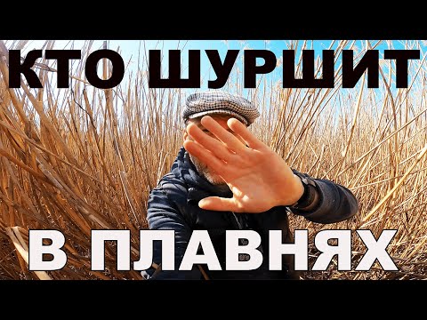 ЗАБЫТАЯ ТЕХНОЛОГИЯ БЕДНЯКОВ - КРЫША ИЗ ТРОСТНИКА! САМЫЙ НАДЕЖНЫЙ ПРИРОДНЫЙ ТЕПЛО И ШУМО-ИЗОЛЯТОР!