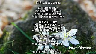 한줄 시상 시와 수필 - 이름 모를 꽃 / 나동수