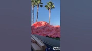 World experiment by David Dobrik of Elephant toothpaste