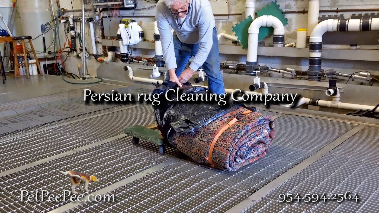 Persian rug Cleaning CompanyBy PetPeePee company. YouTube