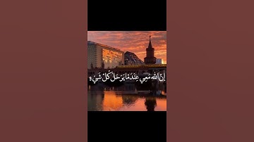 حالات واتساب 🌴آيات القرآن الكريم 🌴مقاطع إسلامية و دعوية 🌴أذكار 🌴لا إله إلا الله محمد رسول الله