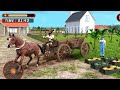 Horse Power: A Day in the Life of a Horse Cart Driver