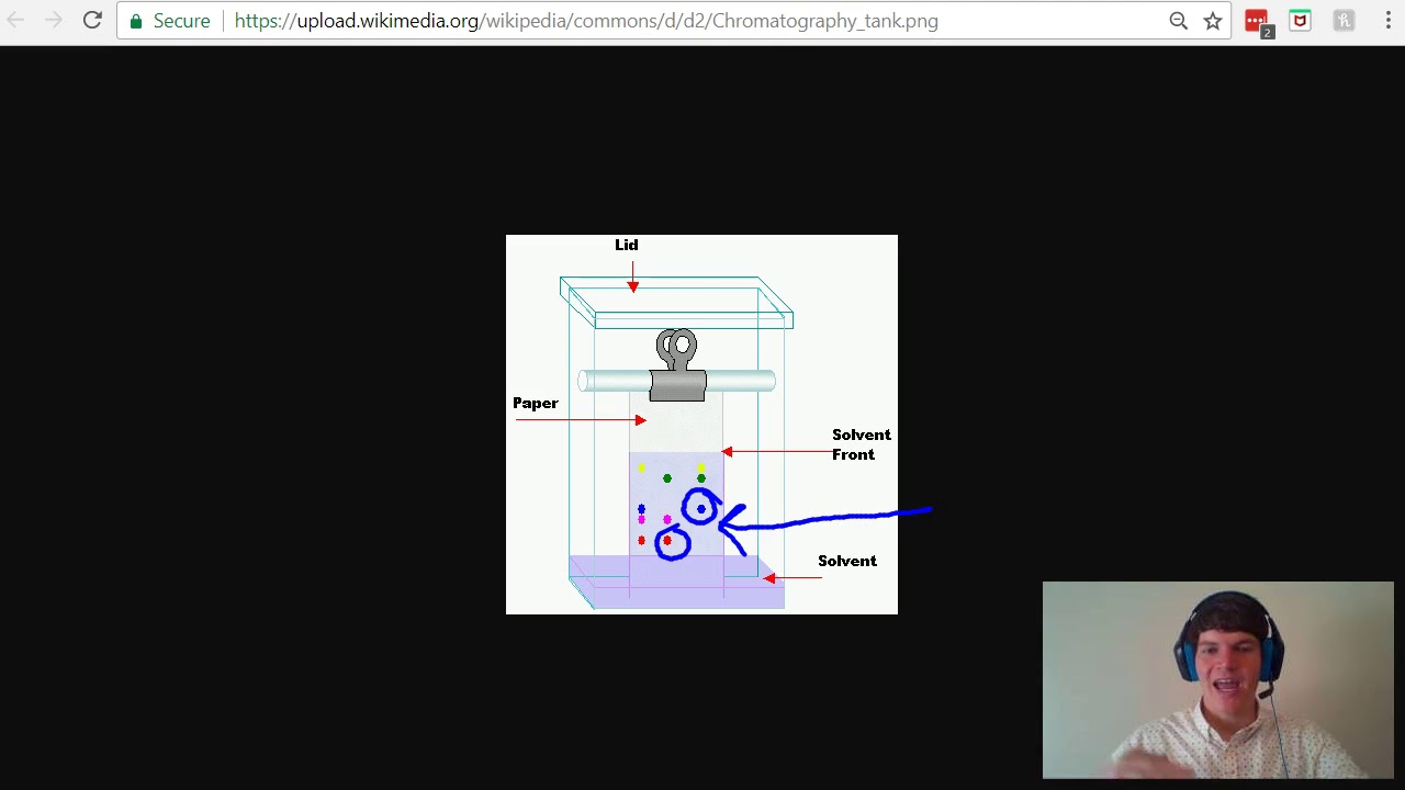 MCAT Question of the Day Paper Chromatography YouTube