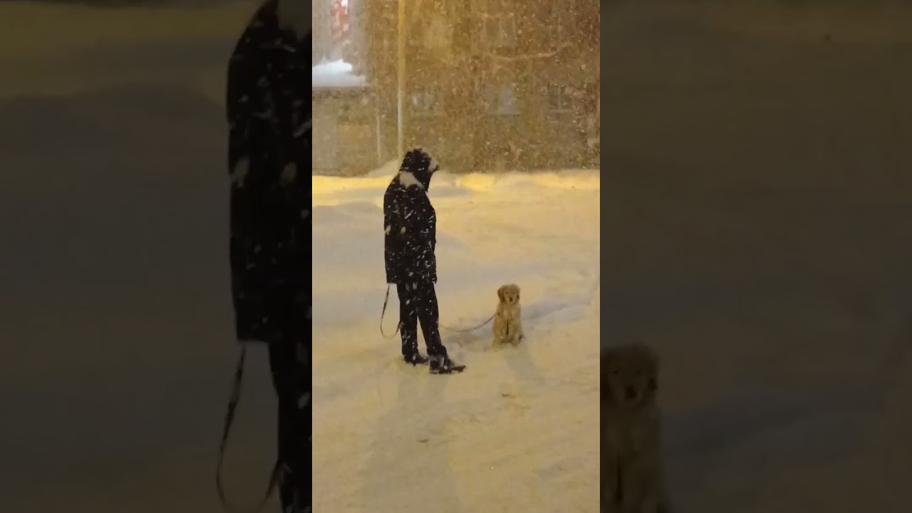 #shortvideo#winter#2025#nice#god#snow#snowseason