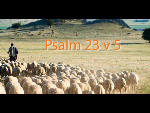 Psalm 23 v 5 - YouTube