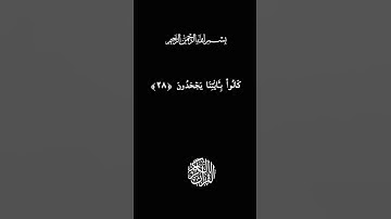 كرومات قرآن شاشه سوداء سوره فصلت بصوت الشيخ سعد الغامدي وقال الذين كفروا لاتسمعوا