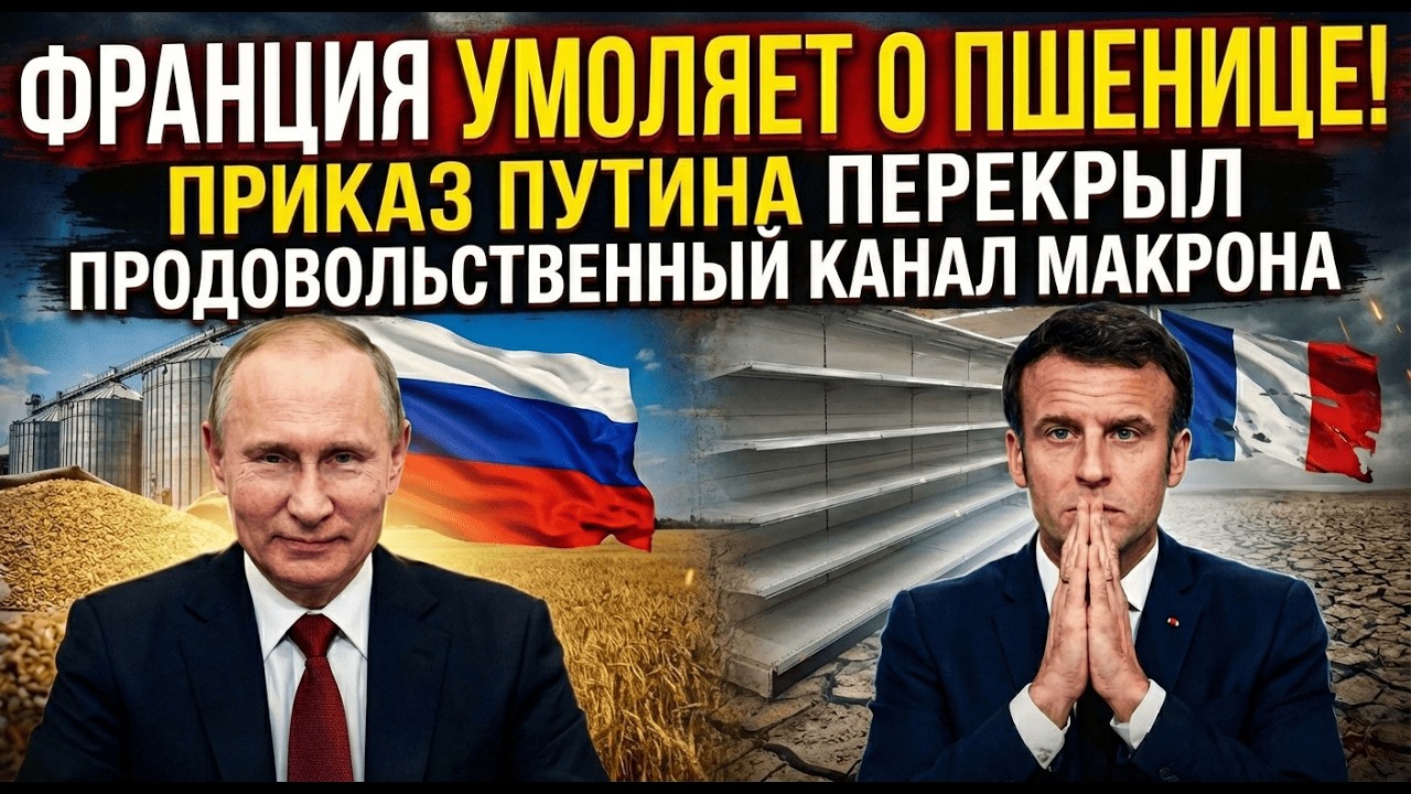 ФРАНЦИЯ УМОЛЯЕТ О ПШЕНИЦЕ! Приказ Путина перекрыл продовольственный канал Макрона