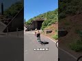 ¡Ruta escénica omitida! ¡Te cuento por qué en este video! #shorts