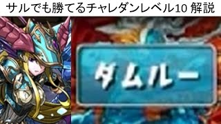 【パズドラ】サルでも勝てるチャレダンレベル10【実況・解説】