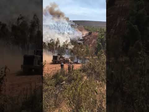 Grandes masas de eucaliptos alimentan un fuego que lleva ardiendo cinco días