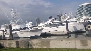 CAN I BE A DECK HAND: PALM BEACH MARINA by TheBoatBoy 1 view 1 month ago 1 minute, 24 seconds