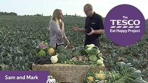 Budding Broccoli: ideal growing conditions