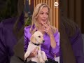 Meet George Stephanopoulos' new puppy Fig! | GMA