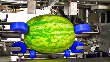 FOOD INDUSTRY MACHINES THAT ARE AT ANOTHER LEVEL ▶ 2