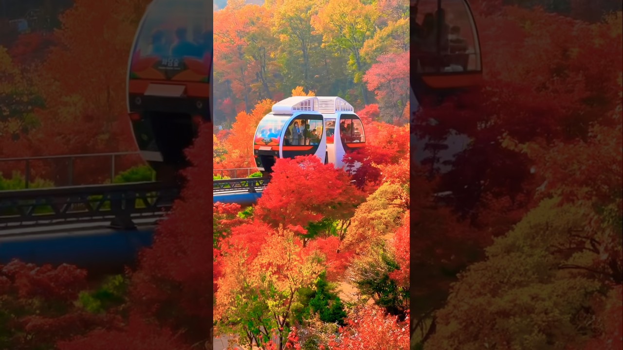 Most beautiful Places in South Korea 🇰🇷part13 