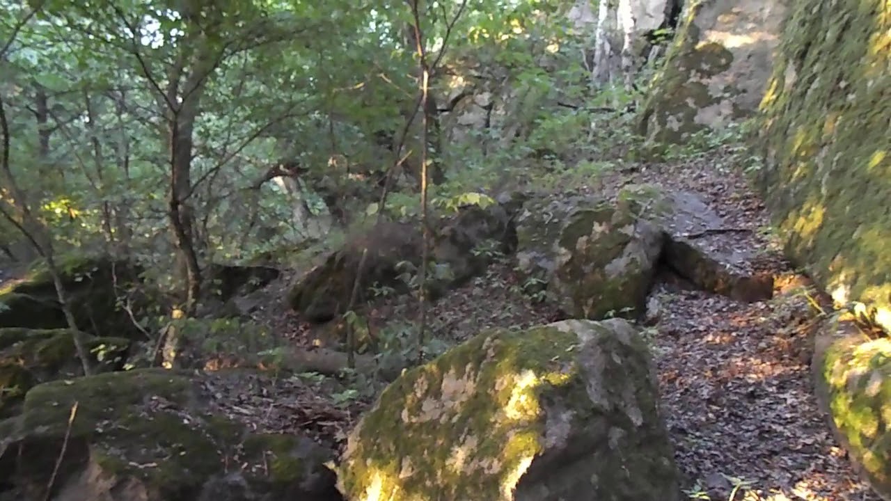 DSCN1391 ЛАДЫЖИНСКАЯ ШВЕЙЦАРИЯ