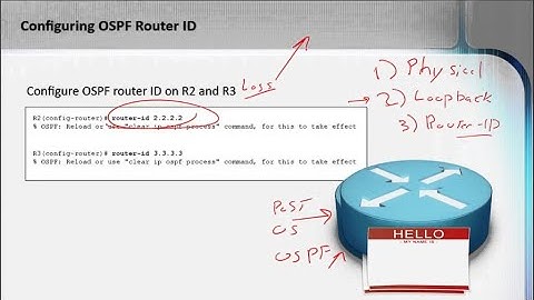 OSPF Router ID